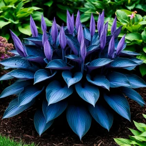 Хоста Сикрет Гров купить по цене от 570р. в интернет-магазине «Посадика» с доставкой почтой в в Барнауле и по всей России – [изображение №1].